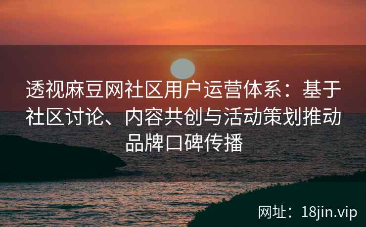 透视麻豆网社区用户运营体系：基于社区讨论、内容共创与活动策划推动品牌口碑传播